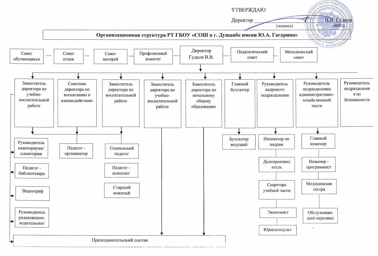 Структура образовательной организации